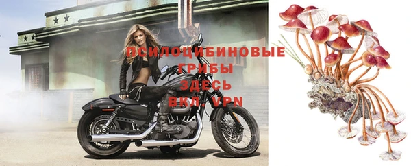 прущая мука Баксан