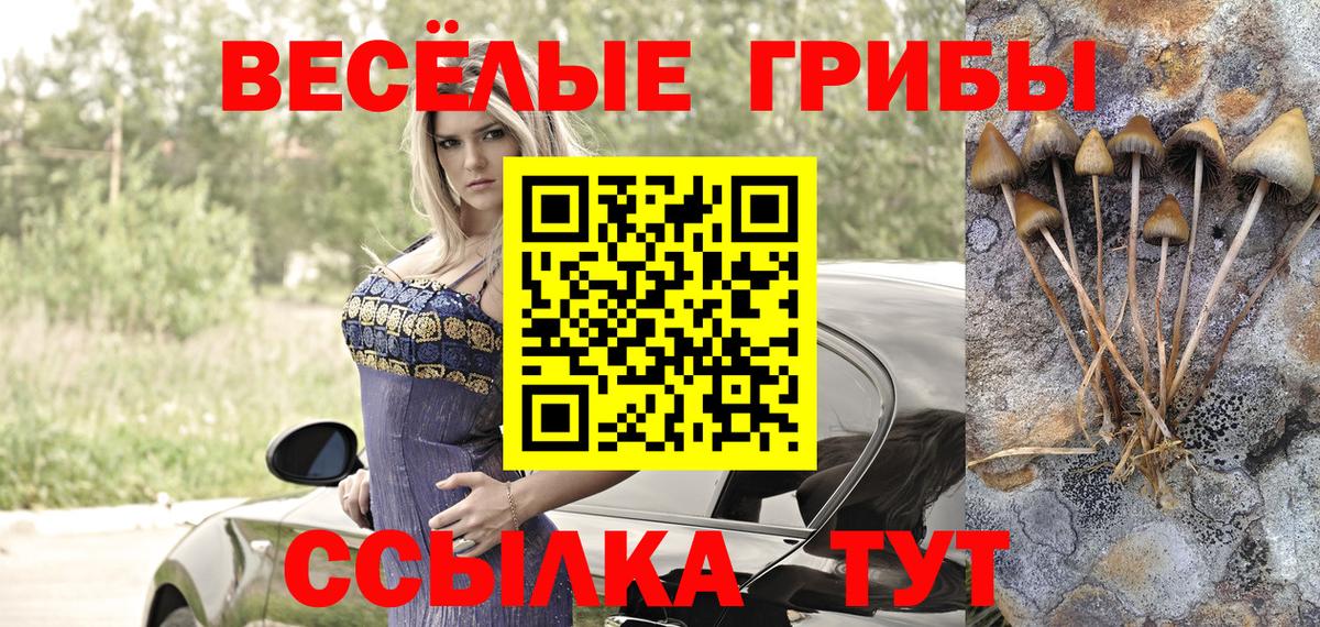 Кировск  купить наркоту  Вход с VPN  Псилоцибиновые грибы мицелий 